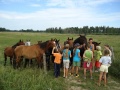 Vasaras piedzīvojumu nometnes ar zirgiem