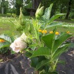 Valmieras novada fonda projektu konkursa 