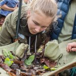 Dižsliekai (Lumbricus terrestris) veltītais otrais un pēdējais šīgada Dabas koncertzāles koncerts Vīsraga palieņu pļavā, pie Burtnieka ezera.  Foto: Marika Latsone